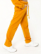 Брюки "Винтер" Горчица арт. дф276г